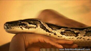Indian Erotic dance with snake